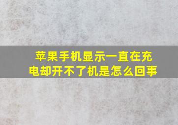 苹果手机显示一直在充电却开不了机是怎么回事