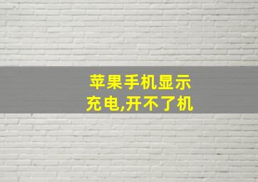 苹果手机显示充电,开不了机