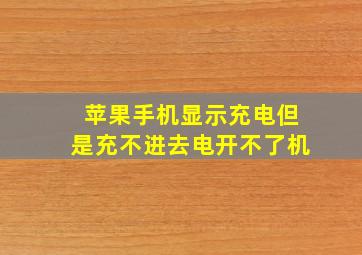 苹果手机显示充电但是充不进去电开不了机