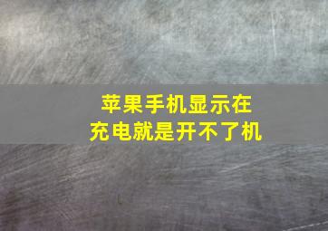 苹果手机显示在充电就是开不了机