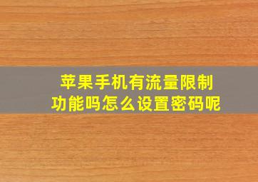 苹果手机有流量限制功能吗怎么设置密码呢