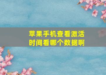 苹果手机查看激活时间看哪个数据啊