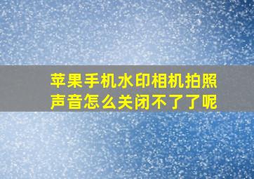 苹果手机水印相机拍照声音怎么关闭不了了呢