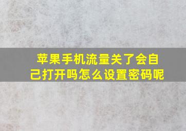 苹果手机流量关了会自己打开吗怎么设置密码呢