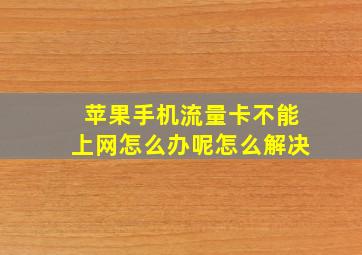 苹果手机流量卡不能上网怎么办呢怎么解决