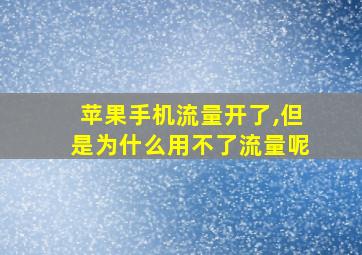 苹果手机流量开了,但是为什么用不了流量呢