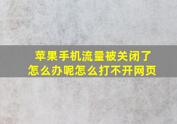 苹果手机流量被关闭了怎么办呢怎么打不开网页