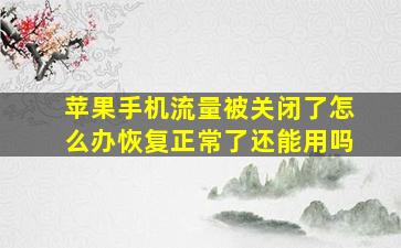 苹果手机流量被关闭了怎么办恢复正常了还能用吗