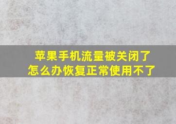 苹果手机流量被关闭了怎么办恢复正常使用不了