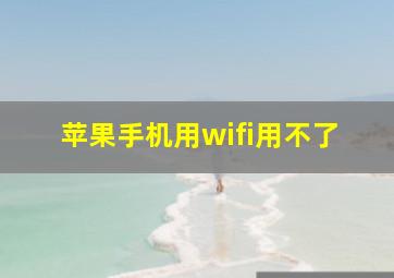 苹果手机用wifi用不了