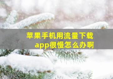 苹果手机用流量下载app很慢怎么办啊