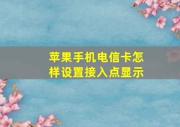 苹果手机电信卡怎样设置接入点显示