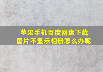 苹果手机百度网盘下载图片不显示相册怎么办呢