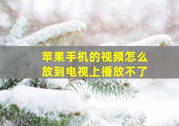 苹果手机的视频怎么放到电视上播放不了