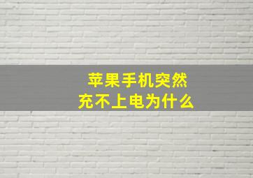 苹果手机突然充不上电为什么