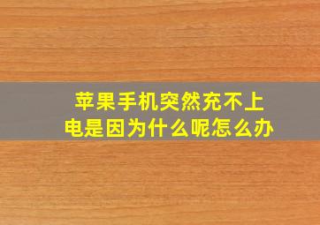 苹果手机突然充不上电是因为什么呢怎么办