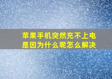 苹果手机突然充不上电是因为什么呢怎么解决