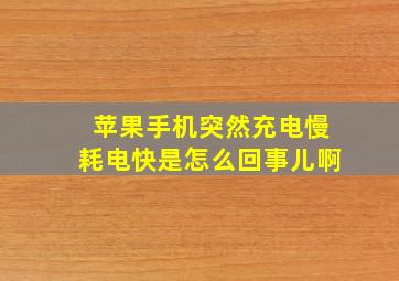 苹果手机突然充电慢耗电快是怎么回事儿啊