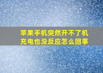 苹果手机突然开不了机充电也没反应怎么回事