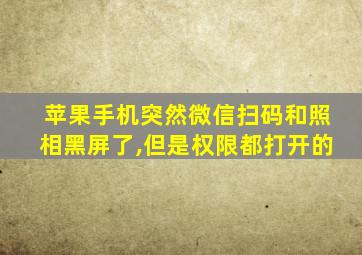 苹果手机突然微信扫码和照相黑屏了,但是权限都打开的