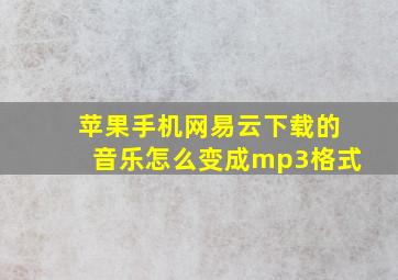 苹果手机网易云下载的音乐怎么变成mp3格式