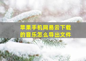 苹果手机网易云下载的音乐怎么导出文件