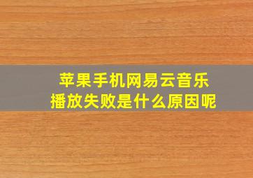 苹果手机网易云音乐播放失败是什么原因呢