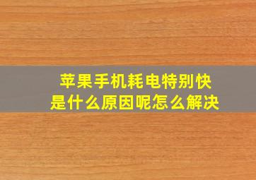 苹果手机耗电特别快是什么原因呢怎么解决