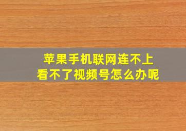 苹果手机联网连不上看不了视频号怎么办呢