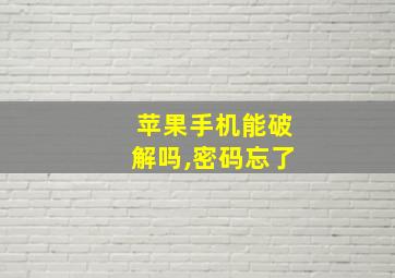 苹果手机能破解吗,密码忘了