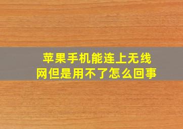 苹果手机能连上无线网但是用不了怎么回事