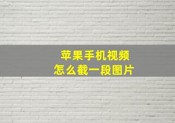 苹果手机视频怎么截一段图片