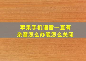 苹果手机语音一直有杂音怎么办呢怎么关闭