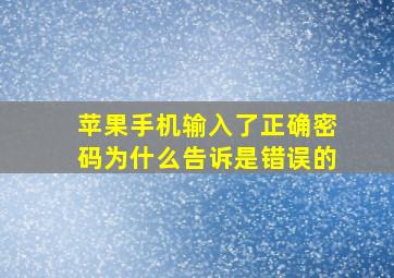 苹果手机输入了正确密码为什么告诉是错误的