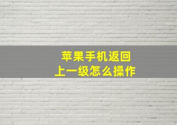 苹果手机返回上一级怎么操作