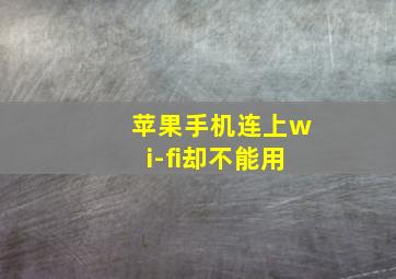 苹果手机连上wi-fi却不能用