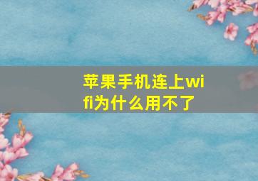 苹果手机连上wifi为什么用不了