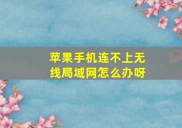 苹果手机连不上无线局域网怎么办呀