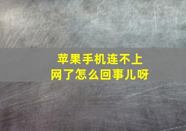 苹果手机连不上网了怎么回事儿呀