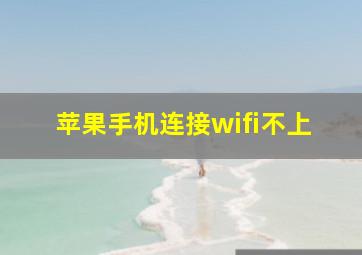 苹果手机连接wifi不上