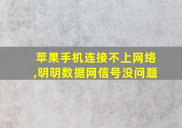 苹果手机连接不上网络,明明数据网信号没问题