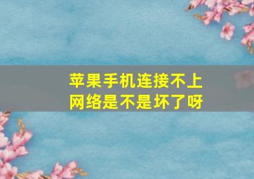 苹果手机连接不上网络是不是坏了呀