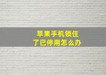 苹果手机锁住了已停用怎么办