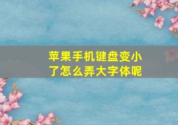 苹果手机键盘变小了怎么弄大字体呢