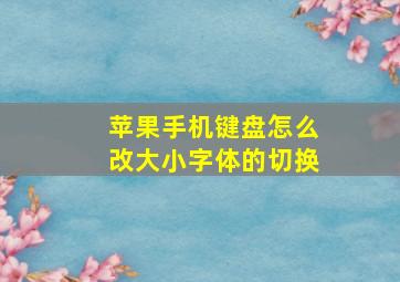 苹果手机键盘怎么改大小字体的切换