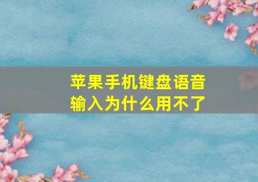 苹果手机键盘语音输入为什么用不了