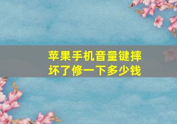 苹果手机音量键摔坏了修一下多少钱