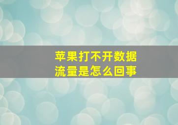 苹果打不开数据流量是怎么回事