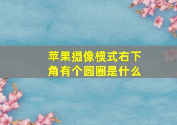 苹果摄像模式右下角有个圆圈是什么