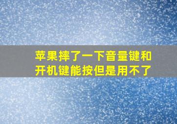 苹果摔了一下音量键和开机键能按但是用不了